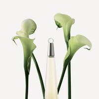 Issey Miyake Issey Miyake L'Eau D'Issey EDT bestellen