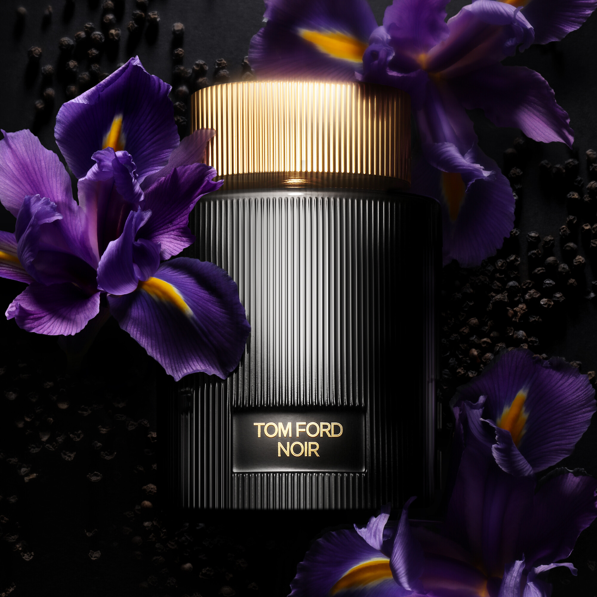 Luxus Parfum Tom Ford Noir femme EDP 100ml bestellen