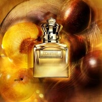 Jean Paul Gaultier Scandal pour Homme Absolu Parfum Concentré 50ml