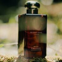 Jo Malone Hinoki & Cedarwood Cologne Intense 50ml