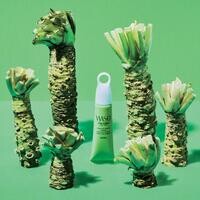 Duftreise Shiseido WASO Poreless Matte Primer 20ml kaufen