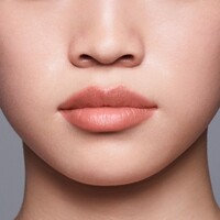 Lipliner Shiseido LipLiner InkDuo 02 11g bestellen