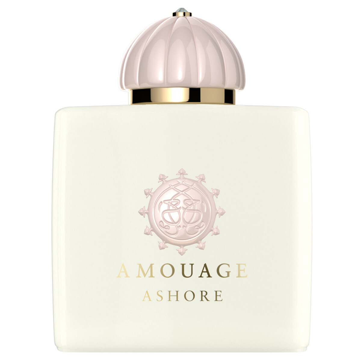 Luxus Parfum Amouage Ashore EDP 100ml bestellen