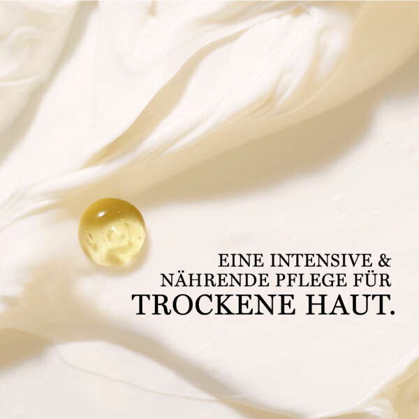 Lancôme Nutrix Gesichtscreme Lancôme Nutrix Gesichtscreme