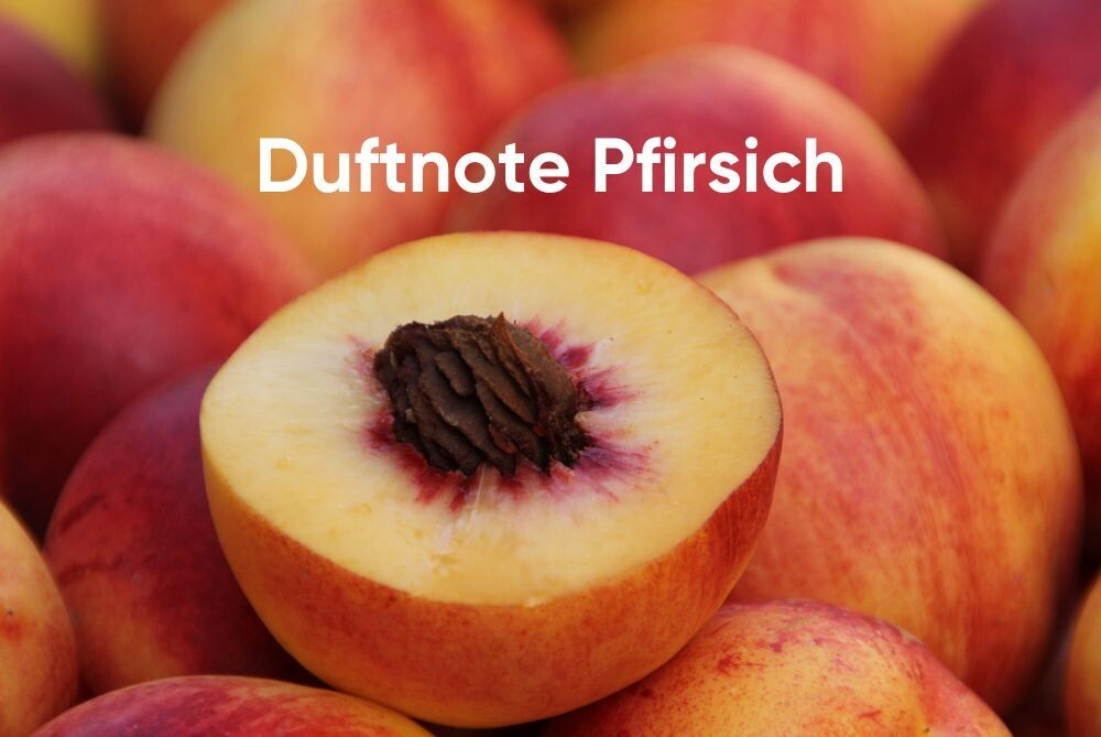 Pfirsich Duftnote Frisch Gesund Und Verf hrerisch pfirsich-duftnote-frisch-gesund-und-verf-hrerisch