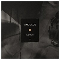 Amouage Overture Man EDP