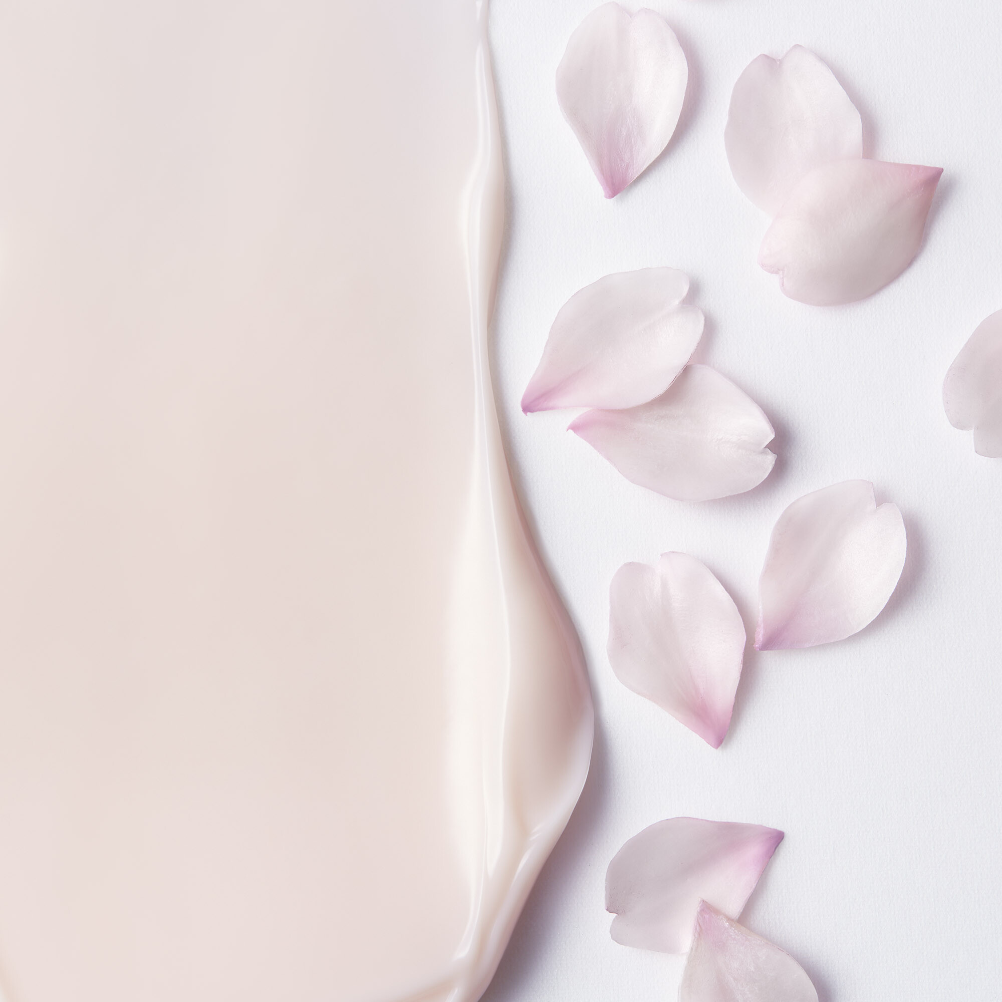 Pflege Shiseido White Lucent Brightening Gel Cream 50ml Thiemann