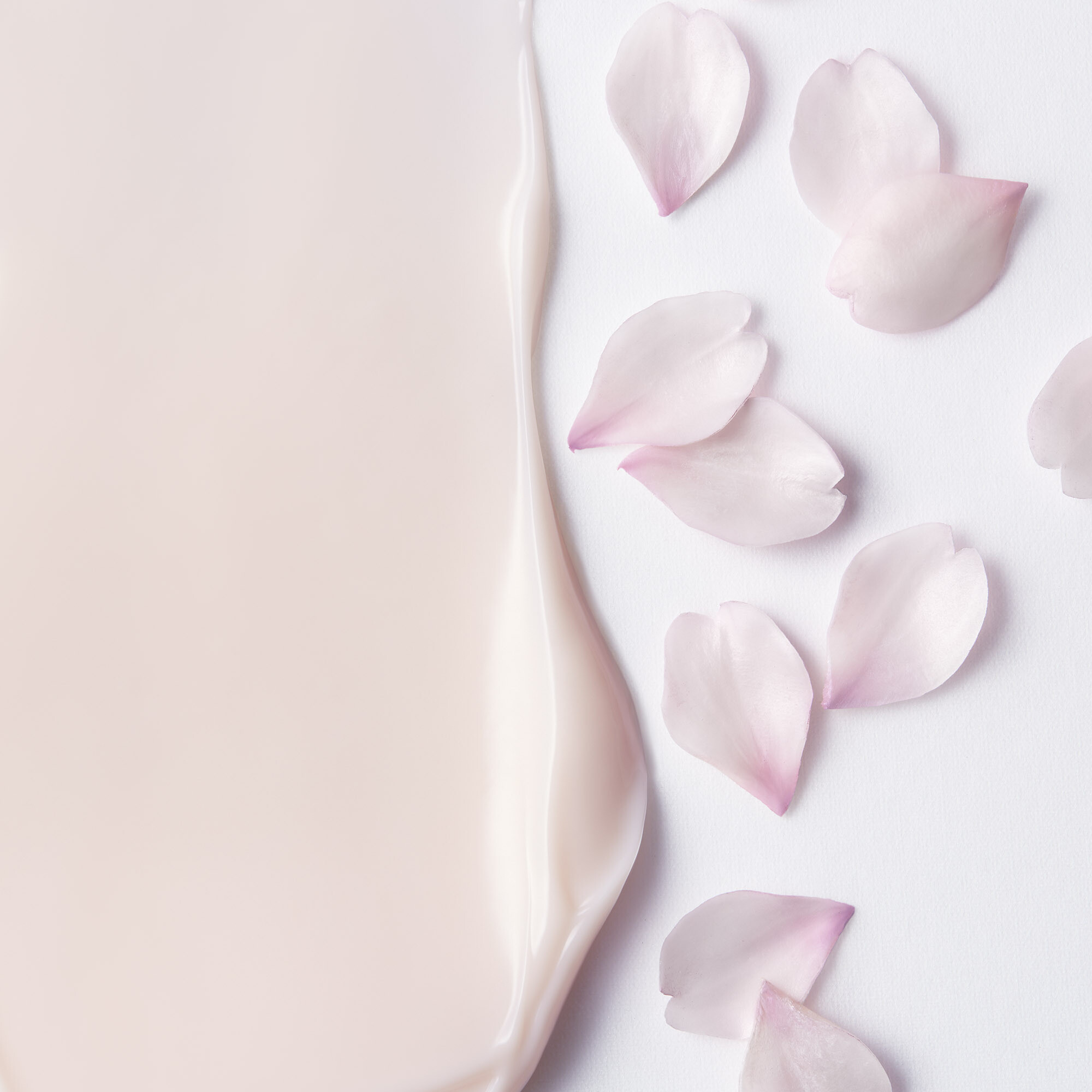 Pflege Shiseido White Lucent Brightening Gel Cream 50ml Thiemann Pflege Shiseido White Lucent Brightening Gel Cream 50ml Thiemann