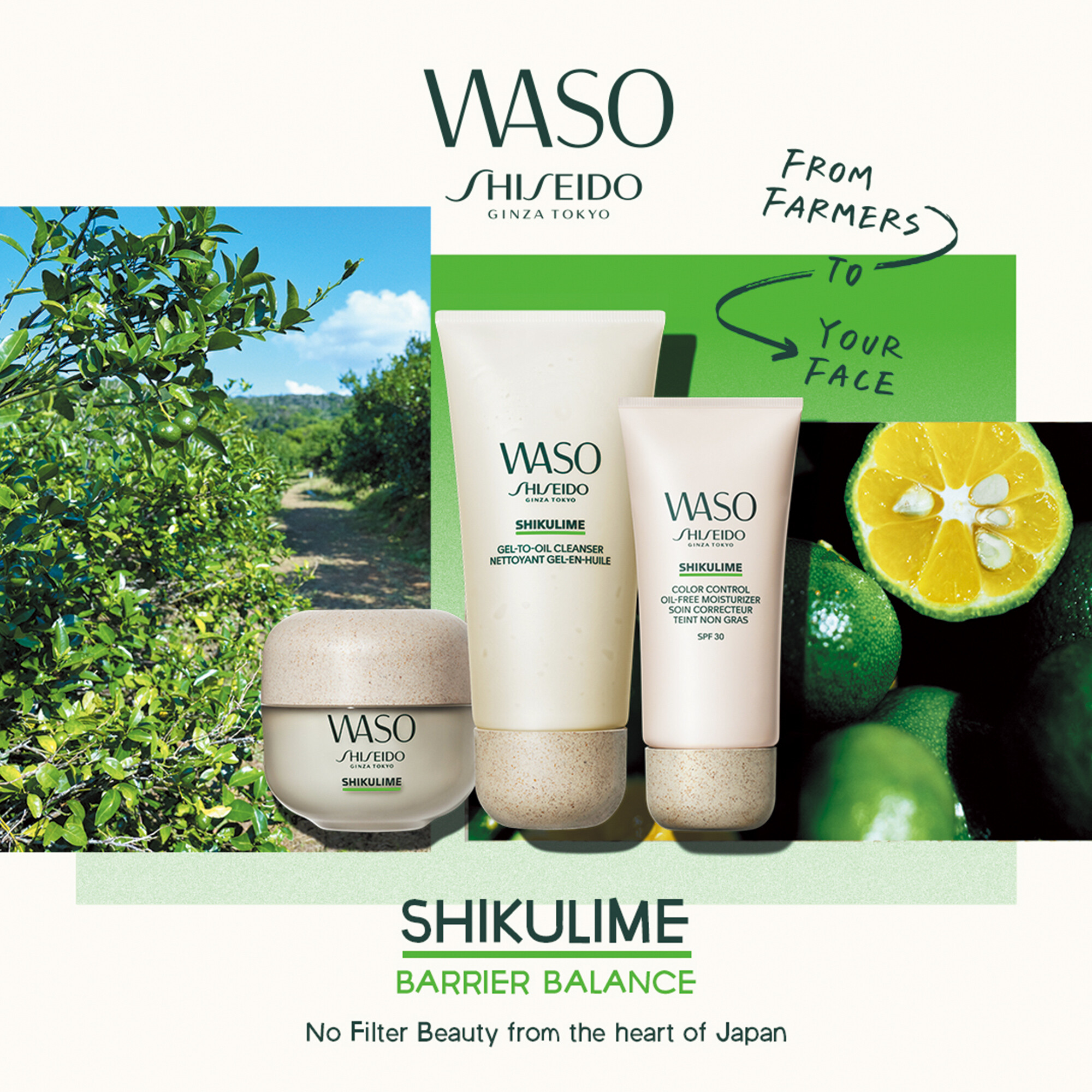 Gesichtspflege Shiseido Shikulime Hikulime Color Control Oil-Free 50ml kaufen