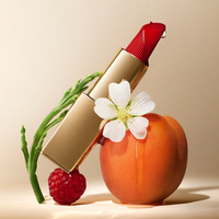 Estée Lauder Pure Color Matte Lipstick 812 Change The World