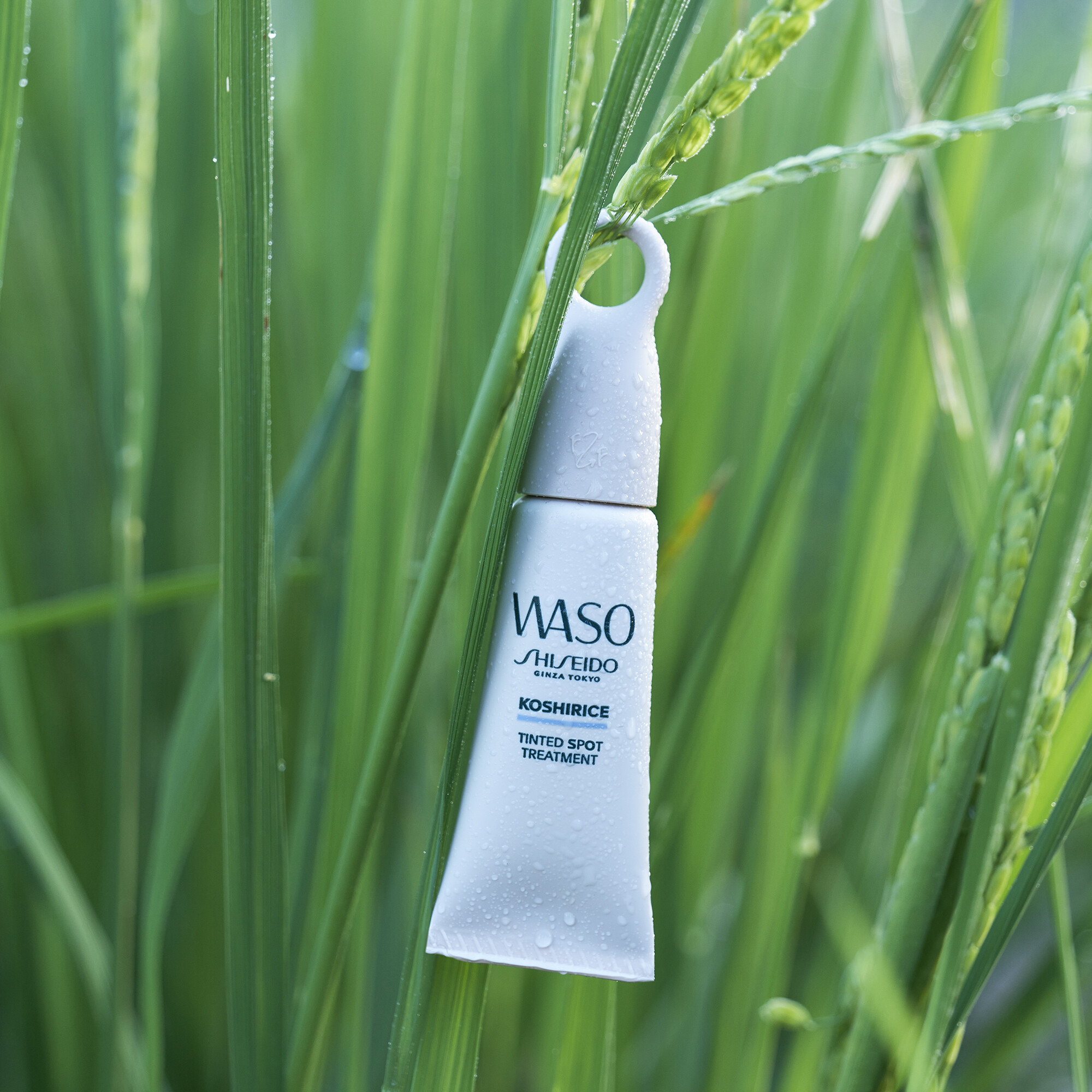 Tagescreme Shiseido Koshirice Tinted Spot Treatment Golden kaufen