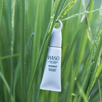 Tagescreme Shiseido Koshirice Tinted Spot Treatment Golden kaufen