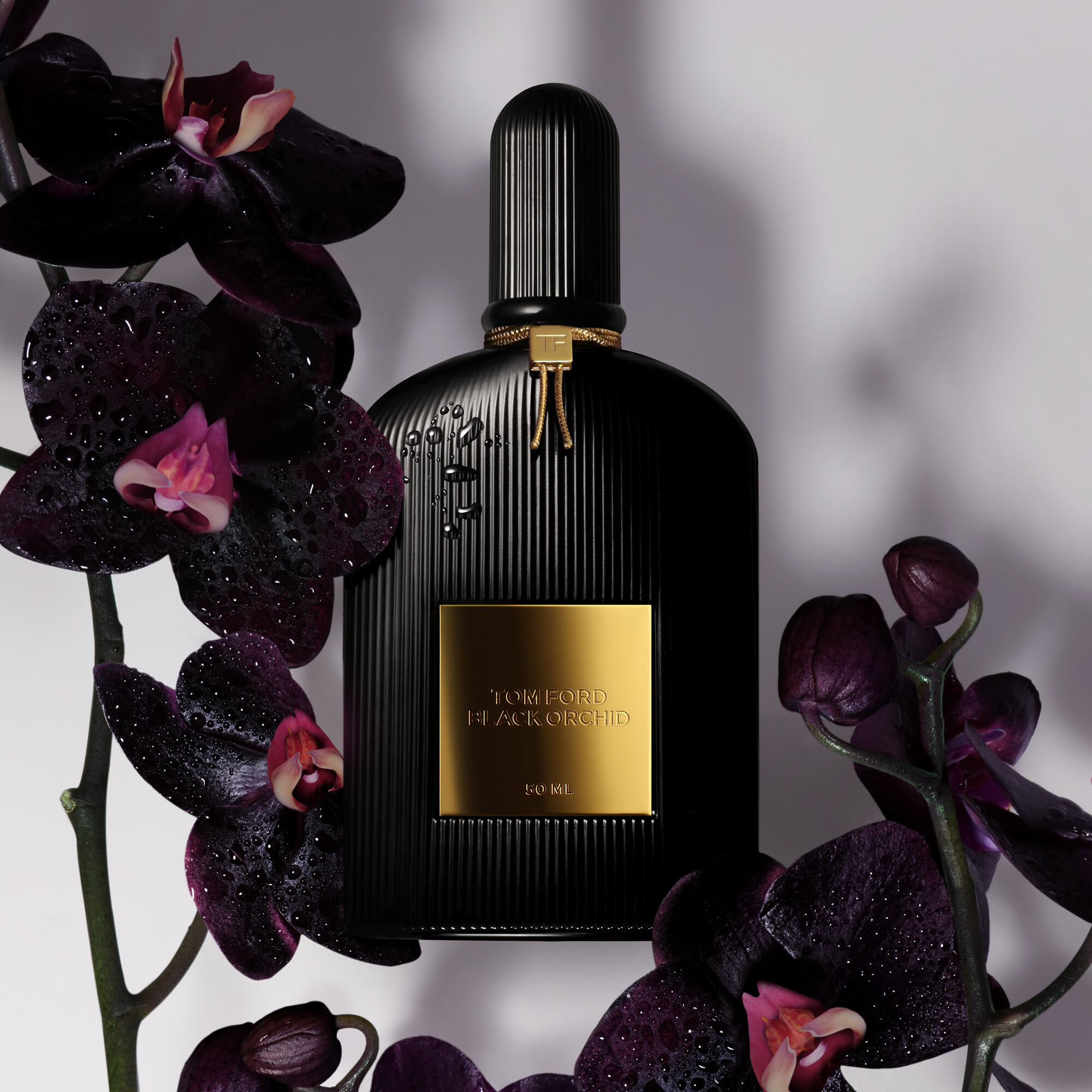Luxus Parfum Tom Ford Black Orchid EDP 100ml kaufen