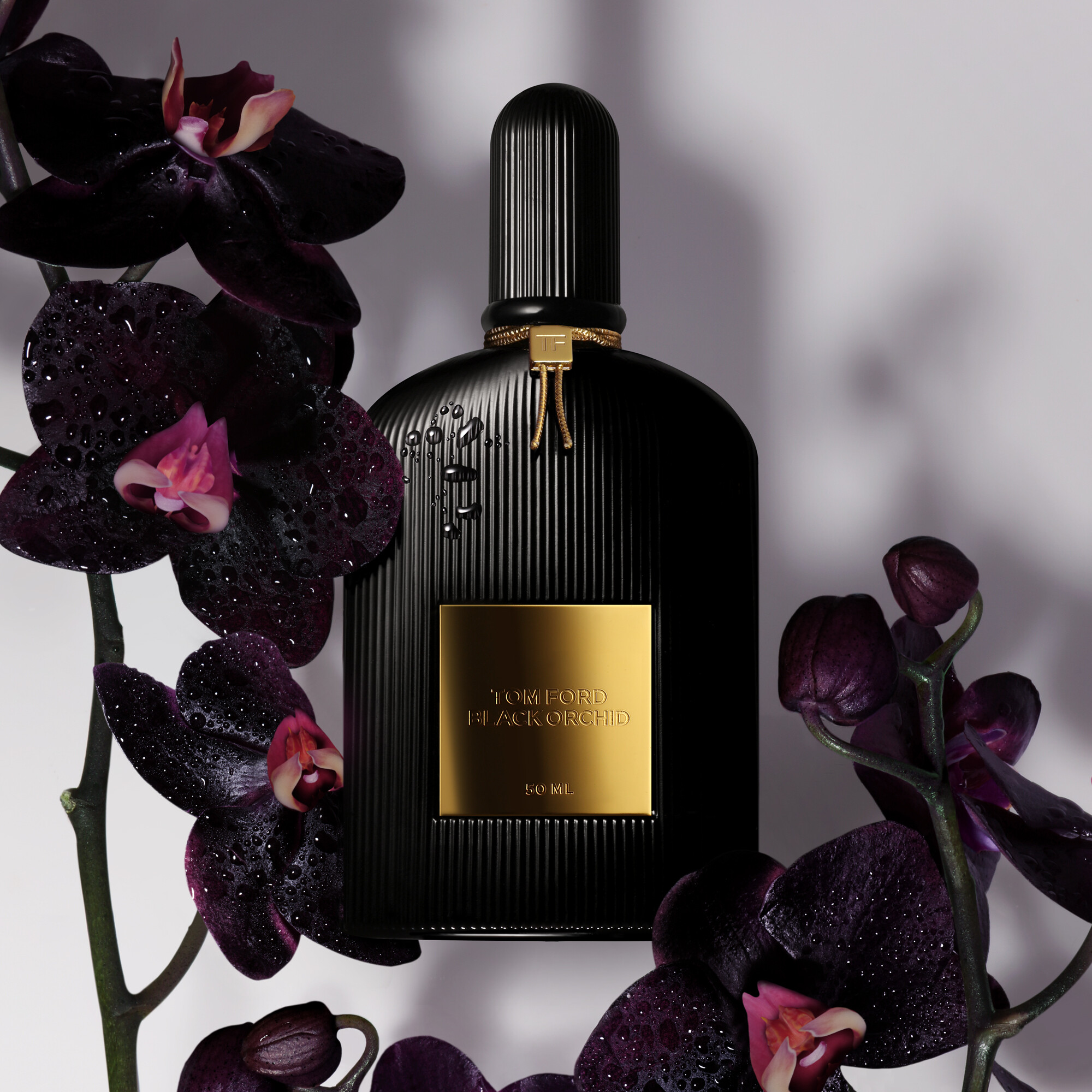 Luxus Parfum Tom Ford Black Orchid EDP 100ml kaufen Luxus Parfum Tom Ford Black Orchid EDP 100ml kaufen