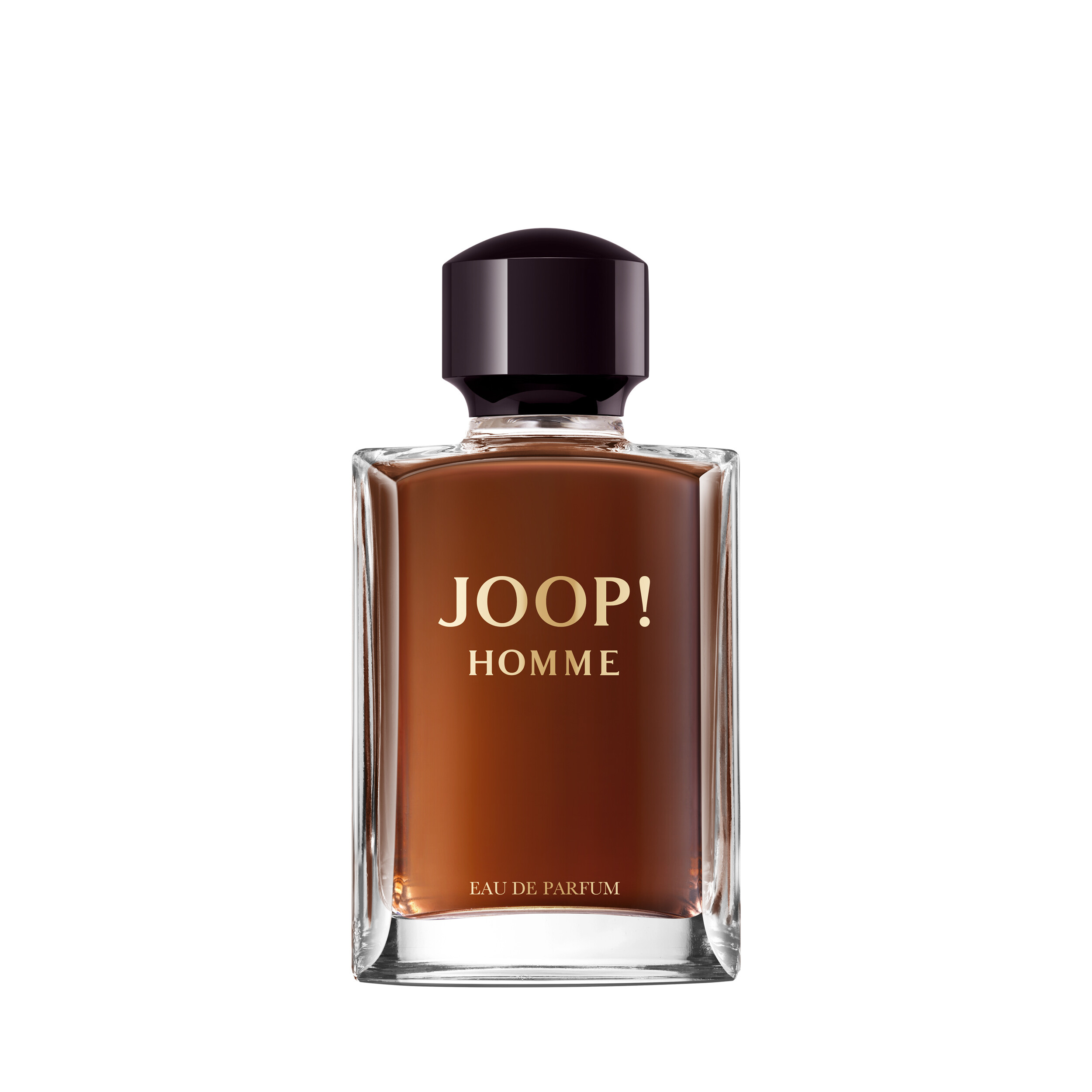 Parfum JOOP Homme EDP 125ml kaufen