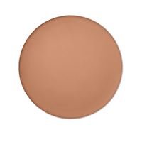 Shiseido Tanning Compact Foundation SPF10 Refill Bronze