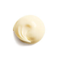 Nachtcreme Shiseido Benefiance Wrinkle Smoothing Eye Cream 15ml kaufen