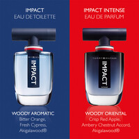 Tommy Hilfiger Tommy Hilfiger Impact EDT - 100ml bestellen