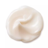 Tagescreme Shiseido Bio-Performance Advanced Super Revitalizing Cream 75ml Thiemann