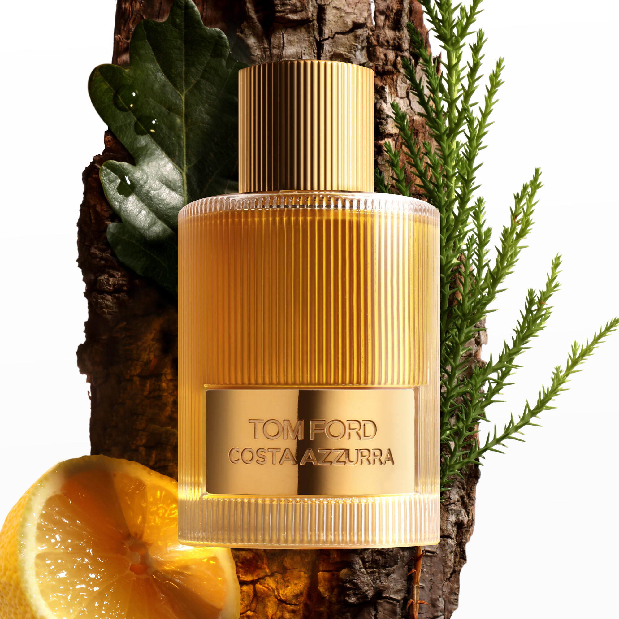 Luxus Parfum Tom Ford Costa Azzurra EDP 100ml kaufen