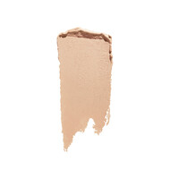 Make Up Shiseido SYNCHRO SKIN Correcting GelStick Concealer 25g bestellen