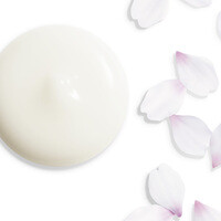 Shiseido Shiseido White Lucent Illuminating Micro-Spot Serum Thiemann