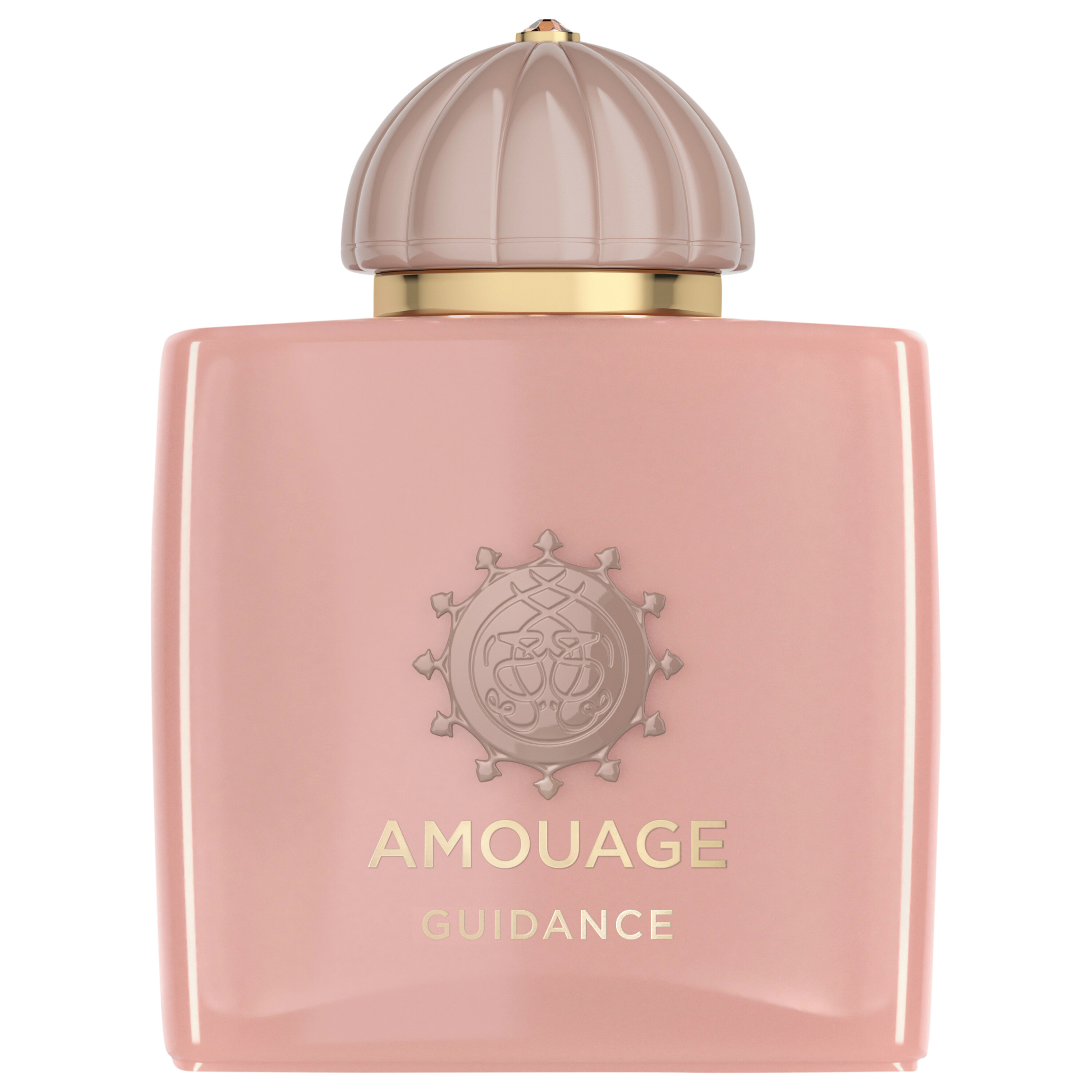 Amouage Guidance EDP 100ml Amouage Guidance EDP 100ml