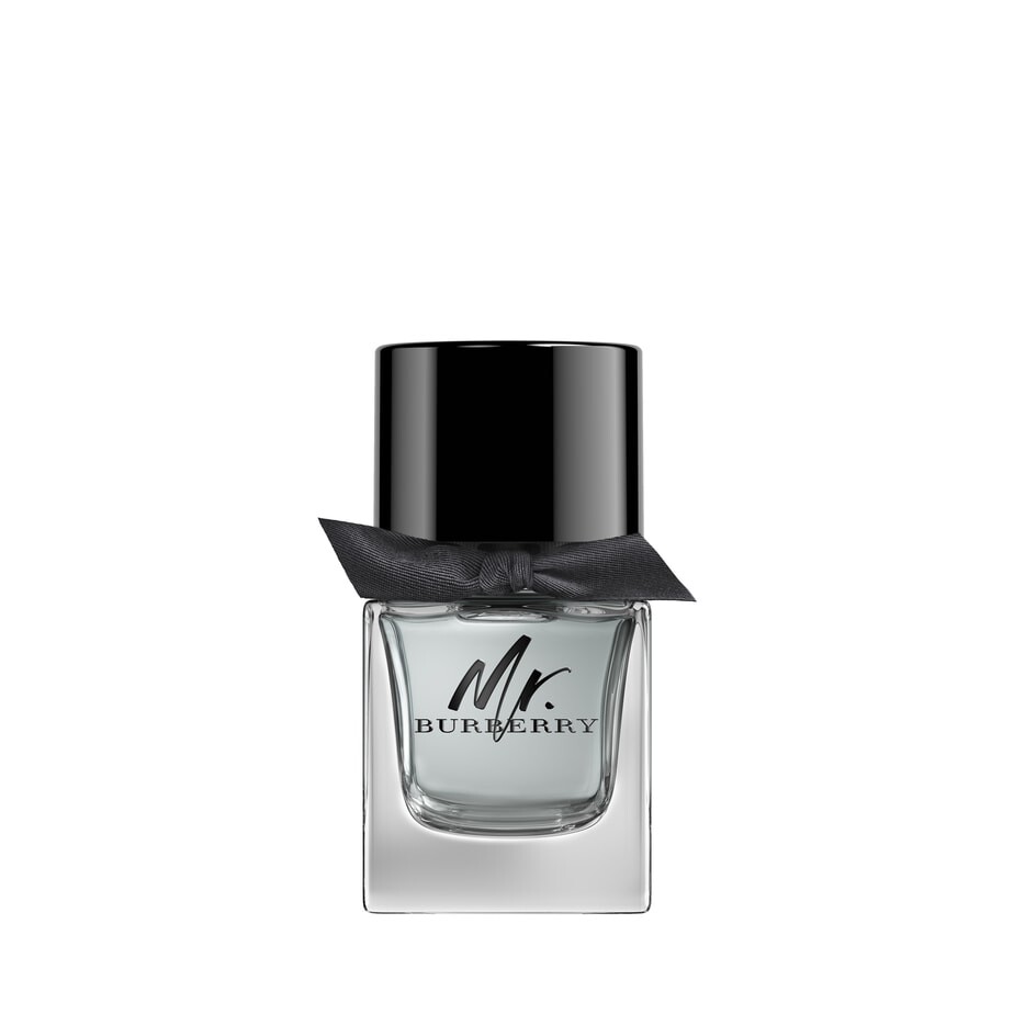 Parfum Mr BURBERRY EDT - 50ml kaufen
