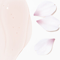 Gesichtsreinigung Shiseido WASO Reset Cleanser City Blossom bestellen