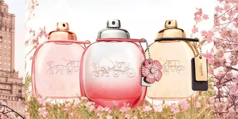 Düfte von Coach bestellen Coach Parfums bestellen Thiemann Shop
