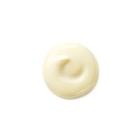 Shiseido Shiseido Benefiance Wrinkle Smoothing Day Cream 50ml kaufen