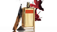 Narciso Rodriguez Safran Musc EDP intense