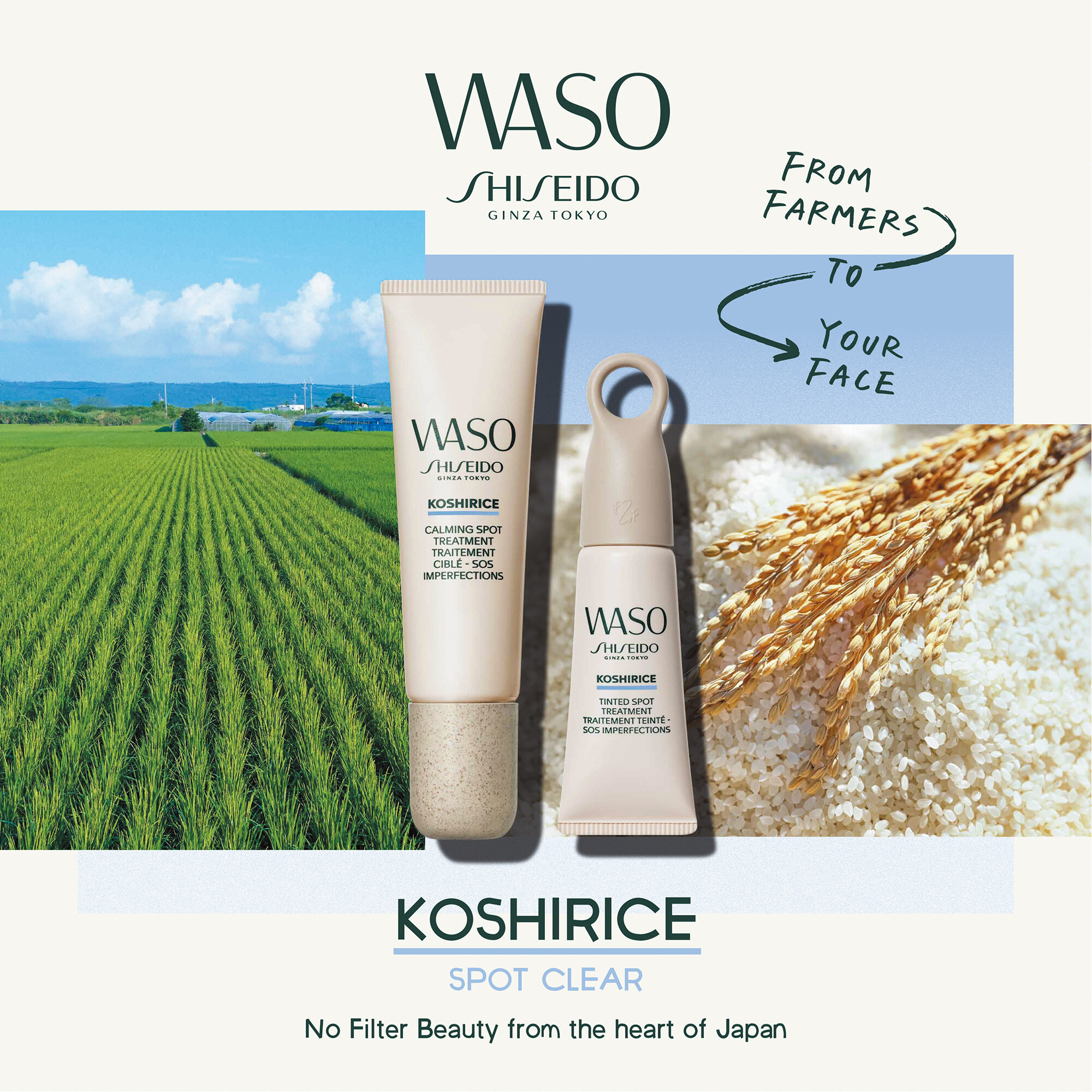 Tagescreme Shiseido Koshirice Tinted Spot Treatment Natural kaufen