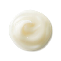 Tagescreme Shiseido Benefiance NutriPerfect Day Cream SPF15 50ml Thiemann