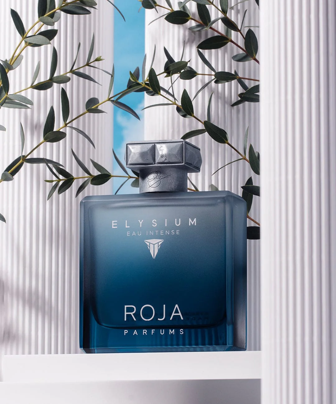 Roja Elysium Eau Intense pour Homme Eau de Parfum