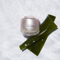 Shiseido Shiseido Benefiance Wrinkle Smoothing Cream 50ml Thiemann