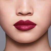 Lipliner Shiseido LipLiner InkDuo 11 11g bestellen