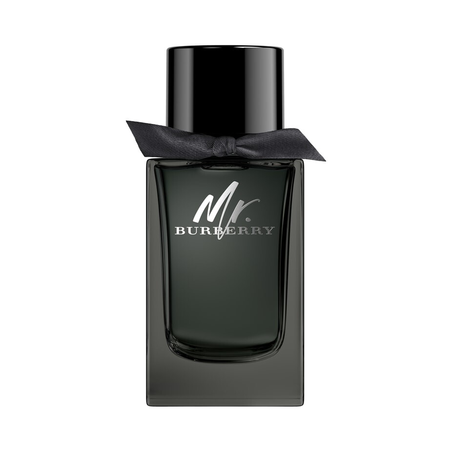Parfum Mr BURBERRY EDP - 150ml kaufen