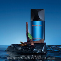 Issey Miyake Issey Miyake Fusion d'Issey Extrême EDT kaufen