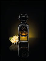 Luxus Parfum WIDIAN Black V Parfum 50ml kaufen