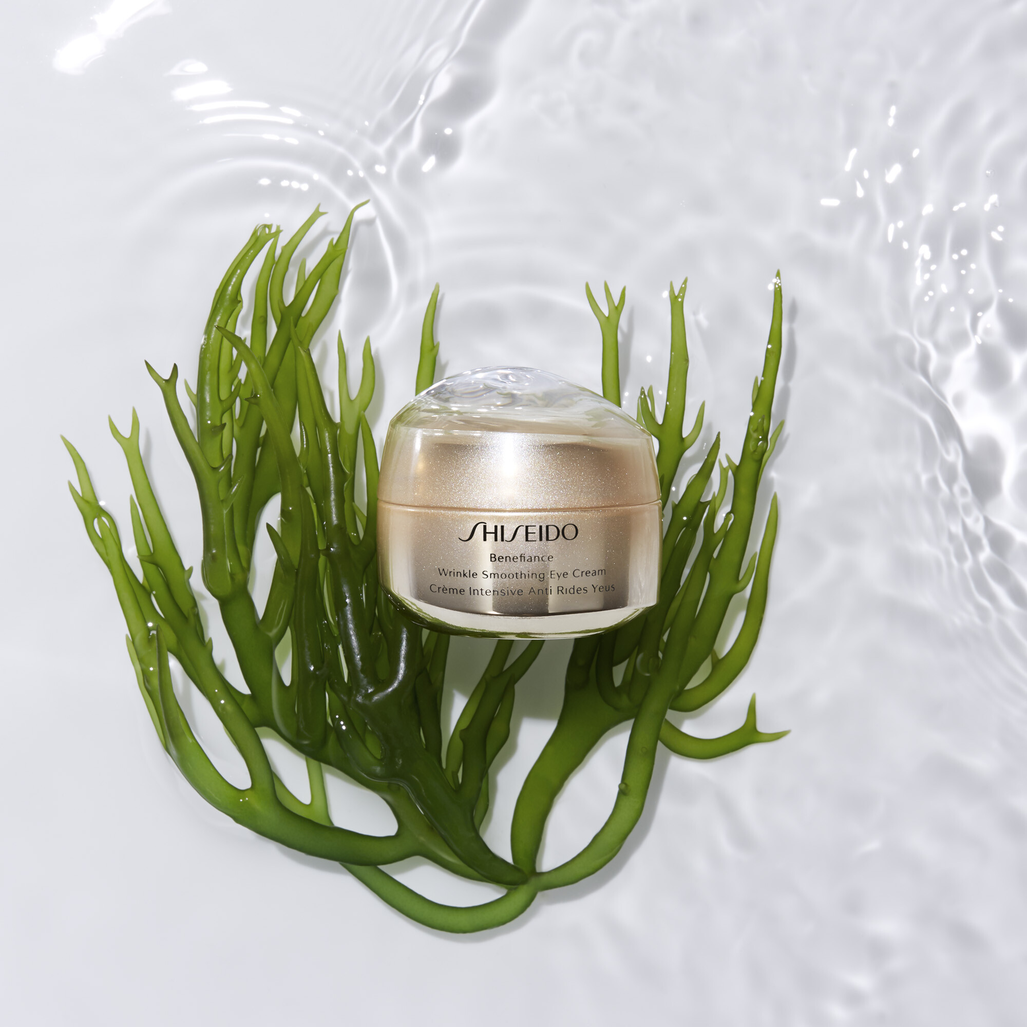 Nachtcreme Shiseido Benefiance Wrinkle Smoothing Eye Cream 15ml bestellen