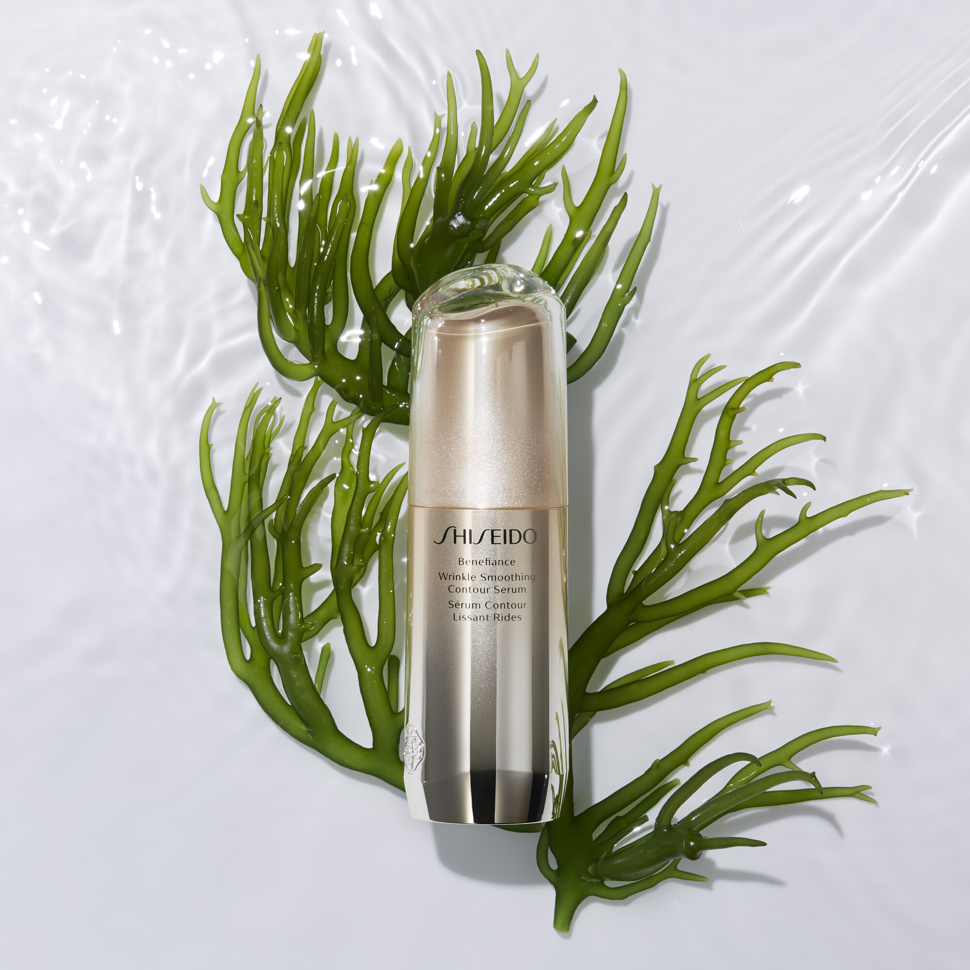 Serum Shiseido Benefiance Wrinkle Smoothing Contour Serum 30ml kaufen